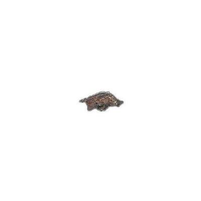 Arkansas Razorbacks Logo Magnet 6