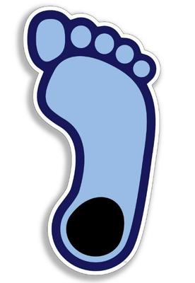 UNC Tar Heel 12