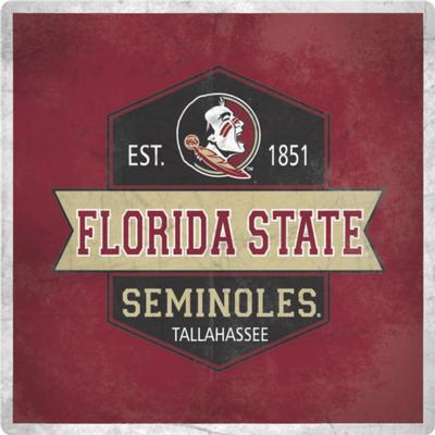 Florida State Vintage 4