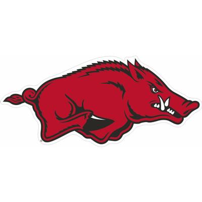 Arkansas Razorback 6