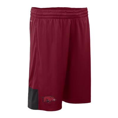 Arkansas Nike Youth DriFit Shorts