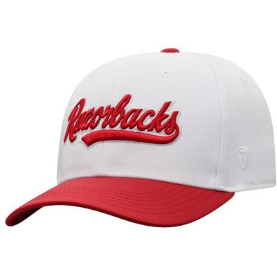 Arkansas Top of the World Infield Hat