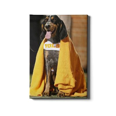 Tennessee 16x24 Smokey's Blanket Canvas