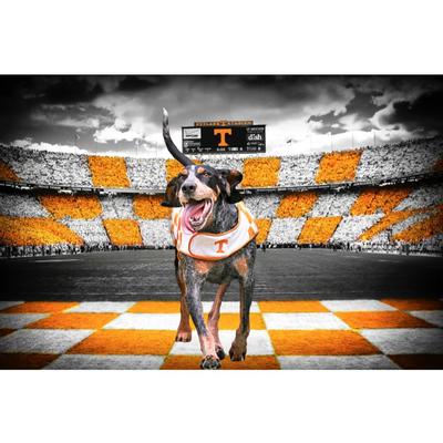 Tennessee 24x16 Smokey's Backyard Canvas