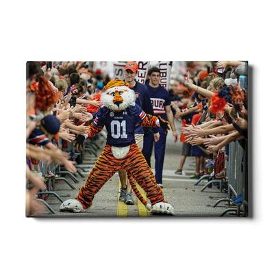 Auburn 24x16 Aubie at the Tiger Walk Canvas