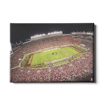 FSU 24x16 DOAK Canvas