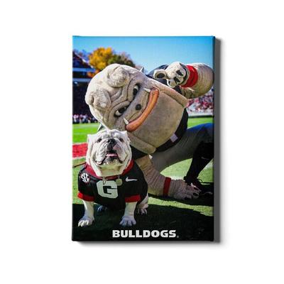 Georgia 24x16 Uga and Hairy the Dawg Canvas