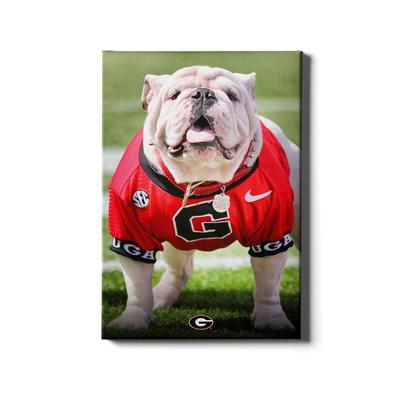 Georgia 16x24 Uga Poised II Canvas