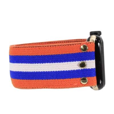 Erimish Doug Stripe Apple Watch Band