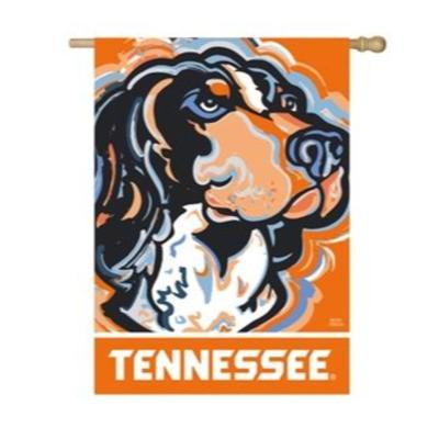 Tennessee Suede House Flag