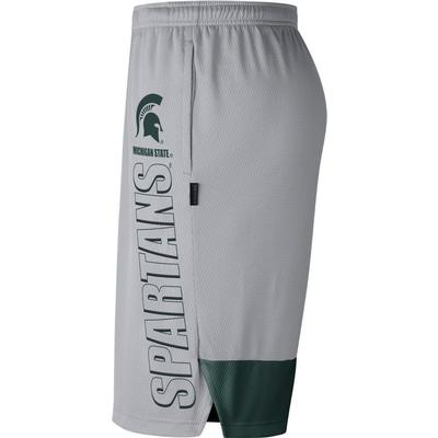 Michigan State Nike Men's Breathe Dry Player Knit Shorts