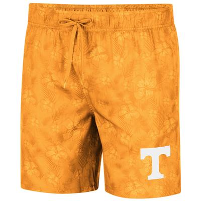 tennessee basketball striped pants