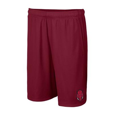 Arkansas Nike Youth Hype Shorts