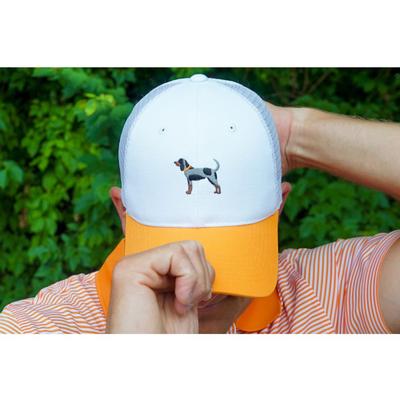 Tennessee Volunteer Traditions Bluetick Hound Two Tone Promesh Hat