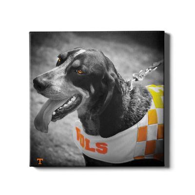 Tennessee 16in x 16in Smokey Canvas