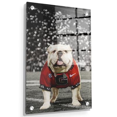 Georgia 8in x 12in UGA Acrylic Desktop Decor