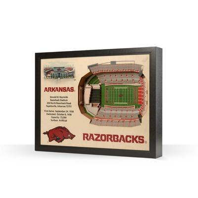 Arkansas Donald W Reynolds Razorback Stadium Wall Art