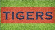  Auburn Tigers Wordmark Lawn Stencil Kit