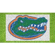  Florida Gators Logo Lawn Stencil Kit