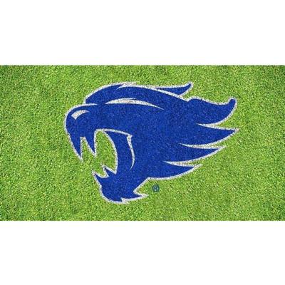 Kentucky Wildcat Logo Lawn Stencil Kit