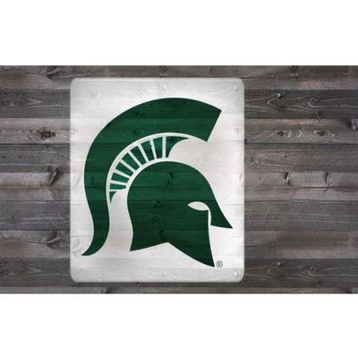 Michigan State Stencil Kit
