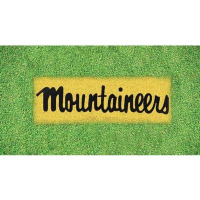 Appalachian State Mountaineers Lawn Stencil Kit