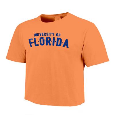 Florida Image One School Stars Comfort Colors Cropped Tee