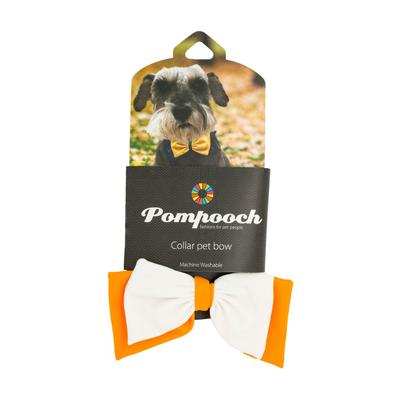 Pomchie Orange and White Pompooch Bowtie