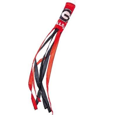 Georgia BSI Windsock