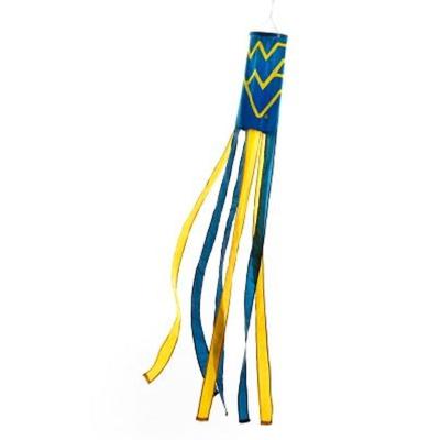 West Virginia BSI Windsock