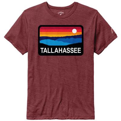 Tallahassee League Men's Horizon Victory Falls Tee