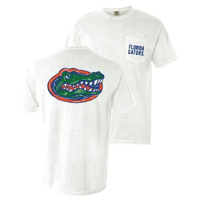 Florida Summit Hand Drawn Mascot Logo Comfort Colors Tee