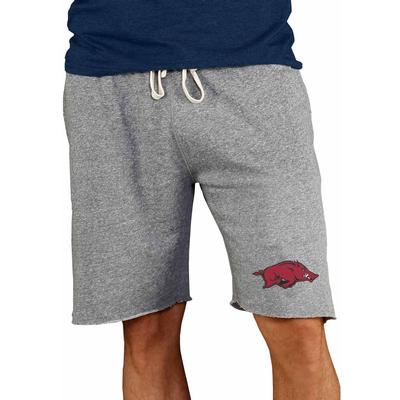 Arkansas Concept Sports Mainstream Terry Shorts