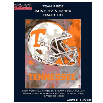 Tennessee Paint by the Numbers Kit