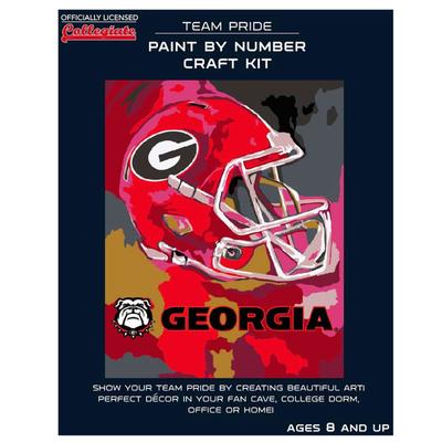 Georgia Paint by the Numbers Kit