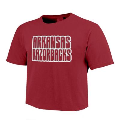 Arkansas Comfort Colors Women's Retro Outline Cropped Tee
