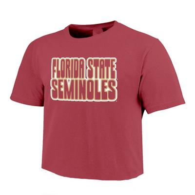 Florida State Comfort Colors Women's Retro Outline Cropped Tee