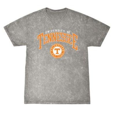 Tennessee Summit Rose Mineral Wash 90's Arch Over Seal Tee