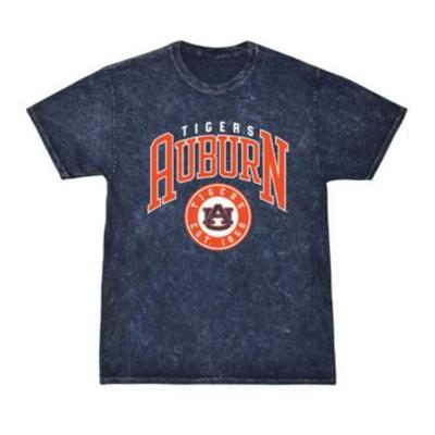 Auburn Summit Rose Mineral Wash 90's Arch Over Seal Tee