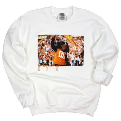 Tennessee Kickoff Stadium Pullover