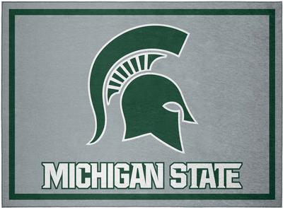 Michigan State Team Rug (20in x 30in)