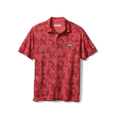 Arkansas Tommy Bahama Men's Palmetto Palms Polo