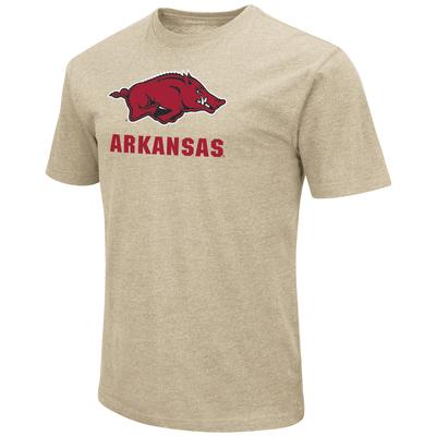 Arkansas Colosseum Big Logo Over School Short Sleeve Tee