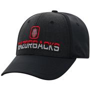  Arkansas Top Of The World Tag Flex Fit Hat