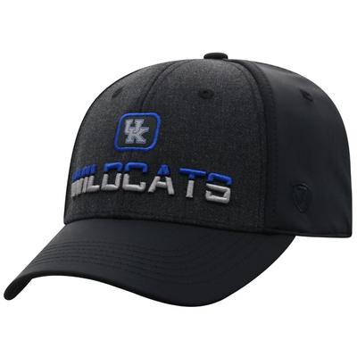 Kentucky Top of the World Tag Flex Fit Hat