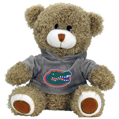Florida Plush 7.5 inch Teddy Bear with a Hoodie