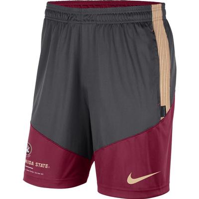 Florida State Nike Men's Dri-Fit Knit Shorts