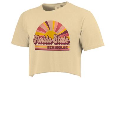 Florida State Rainbow Rays Comfort Colors Cropped Tee
