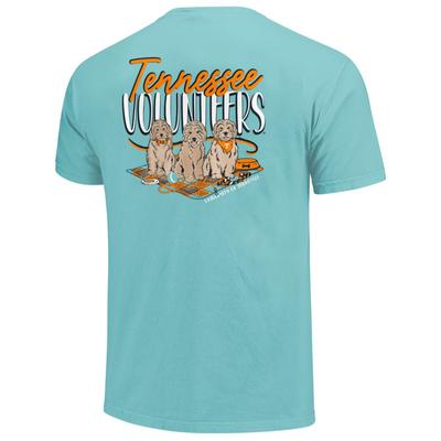 Tennessee Picnic Friends Short Sleeve Comfort Colors Tee