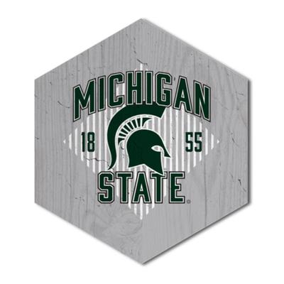 Michigan State Hexagon Magnet